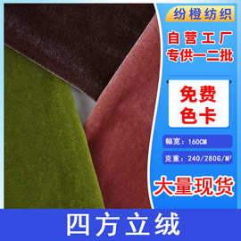 现货精品四方立绒不倒绒面料高端连衣裙舞蹈服西装金丝绒布料