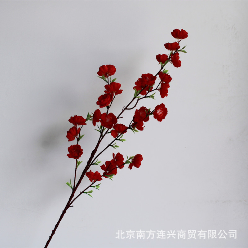 레드