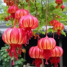 m҃ͥ͢Ժ̨Լt\\NӴtɫ\ļ_