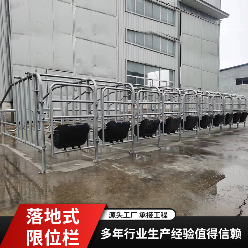 Cercas de límite de piso de stock de fábrica Cerdas de posicionamiento Cerdas de cría de ganado Tubo de acero galvanizado en caliente Cercas de posicionamiento de piso