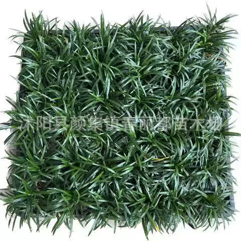 矮叶麦冬穴盘苗耐踩踏地被植物花园耐寒开花低维护耐热草皮草坪