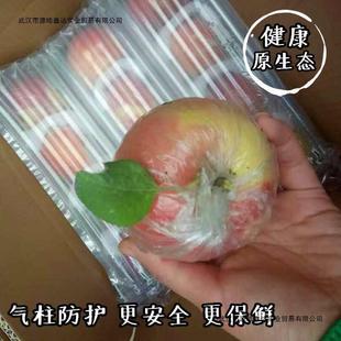 �O��ˮ�������S�h��ɳ���O��10���t��ʿ�����Ĵ���Ұ����Ƽ��