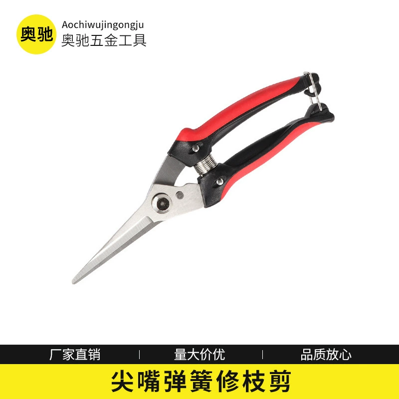 Садовые секаторы из нержавеющей стали Ножницы для фруктов Ножницы для сбора винограда Ножницы для фруктов и овощей Остроконечные счетные ножницы для сбора фруктов