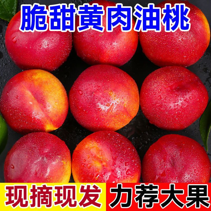 桃子现摘】黄心油桃5斤应季大新鲜水果当季水密桃整箱孕妇蜜脆桃3