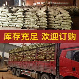 生物能源