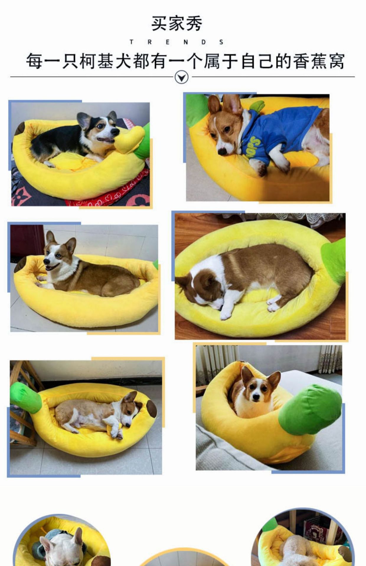 gWmWivOiz9St5JayZAYxYOHbRkb3+0QSh5Ex