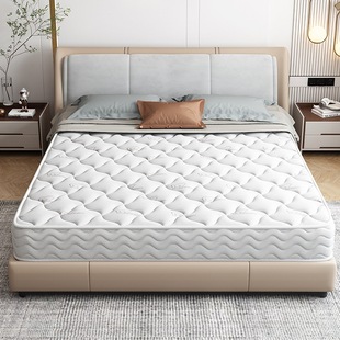 ϯ��˼���ɴ��|�����������zܛ�|20cm��ӲҬ��1.5m1.8���ⷿ