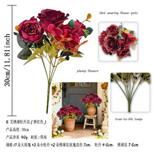 Wʽ͹Ÿ߼pݷ滨ĵõܽػc廨[컨