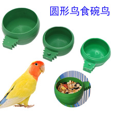 鸽子食盒圆形鸟食碗塑料食器鸟用大号食杯小号食碗食勺