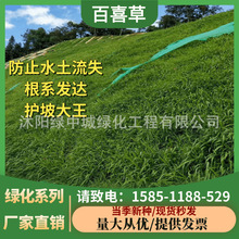 ϲݷNӌ~۲݌~ȸ޹͟ͺβo²ݷN