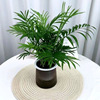 Gray Plastic Plastic Basin Rich Bamboo Gold Diamond Fortune Tree Jiulixiang Green Plant Desktop Good Hydroponic Green Plant Office