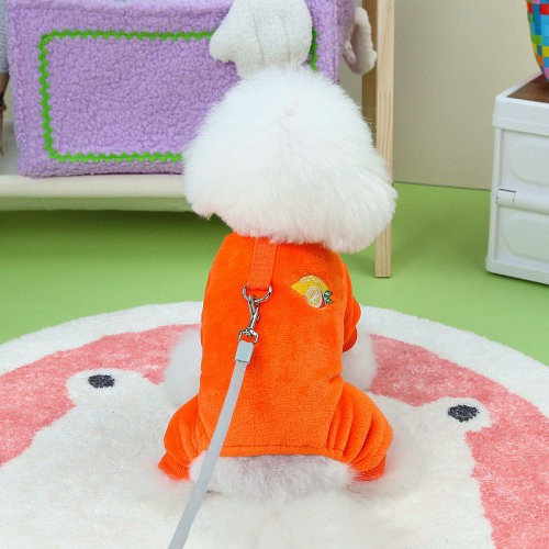 Pet Dog Clothes  Autumn New Pet Homecoming Clothes Plush Small and Medium Size Dog Pomelo Fruit Four-Legged Fur Clothing