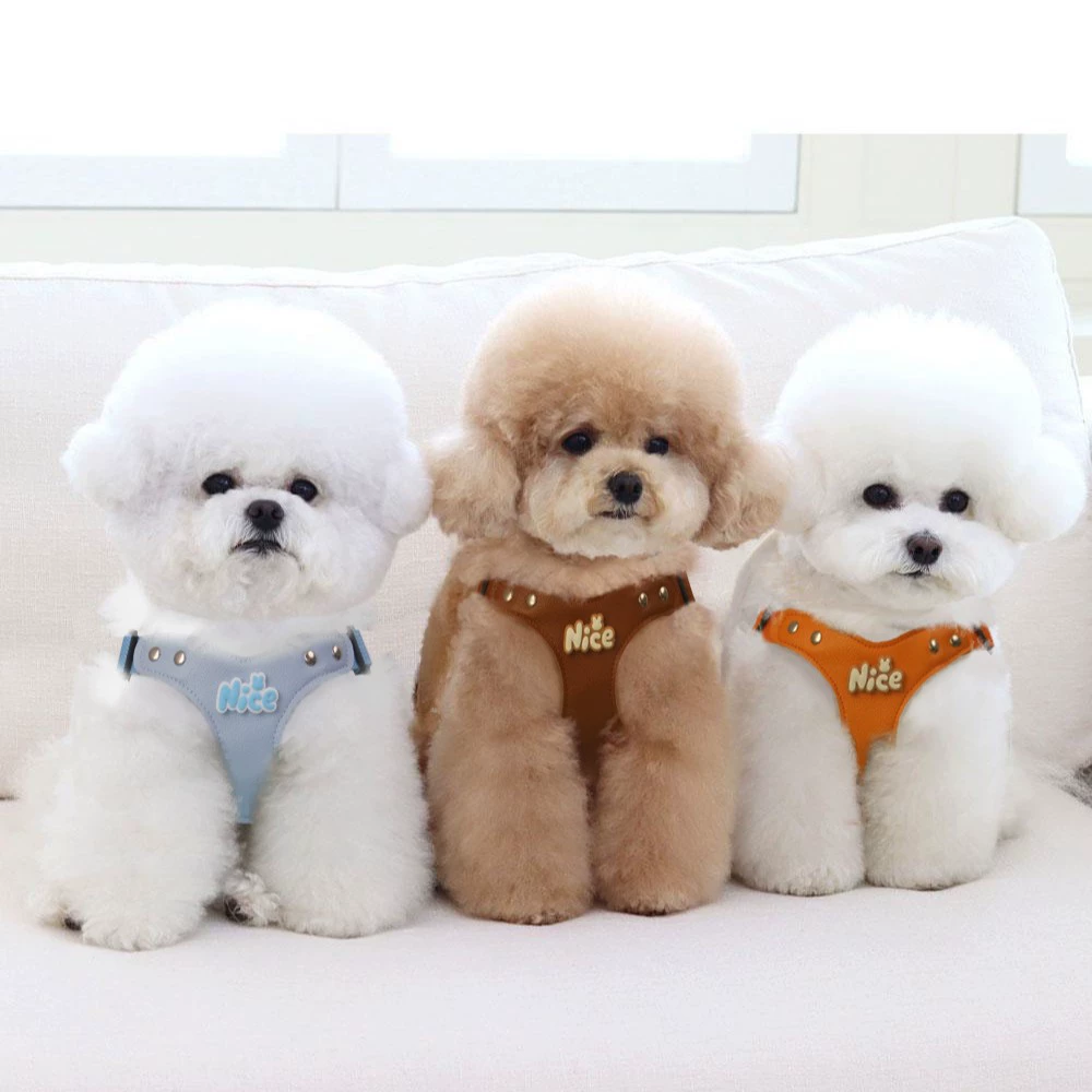 By Bear кора высокого уровня Koji Little Dog Pet Собака Цепь Тедди выходит на грудь, чтобы вытащить веревку