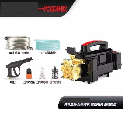 Black Cat Car Washer Super Portable car washer - standard-package-short-gun-10m-explosion-proof-pipes