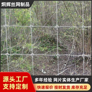 定制镀锌钢丝草原网缓冲力强牛栏网片牧场围挡牛防撞栏钢丝草原网