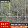 定制缓冲牛栏围挡草原网