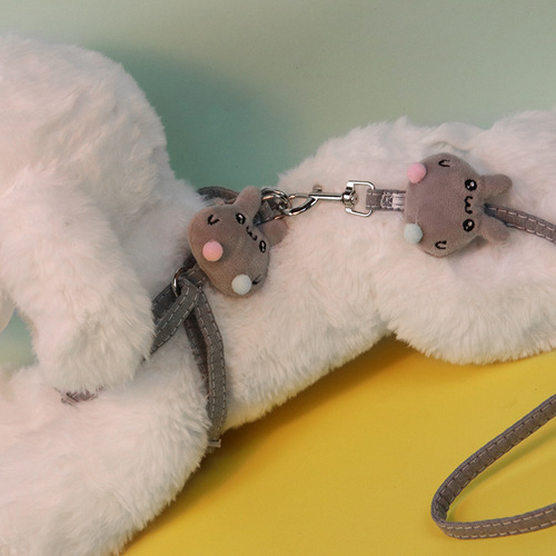 Leash for small Teddy dogs, outdoor walking rope pet supplies manufacturer, non-slip and anti-tangle dog leash