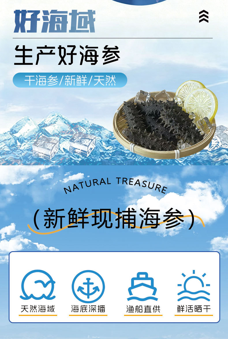 Ready to Eat Sea Cucumber Liaoning Stichopus Frozen Cooked 500g overview