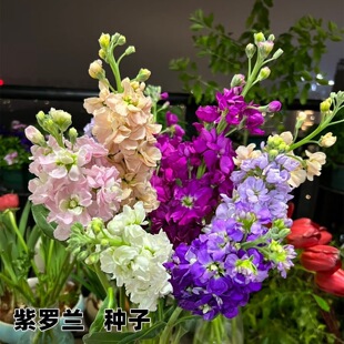 ���_�m�N���ļ��������҃��̨���ԾGֲ�׷N���ܻ����҃Ⱥ��B�Gֲ
