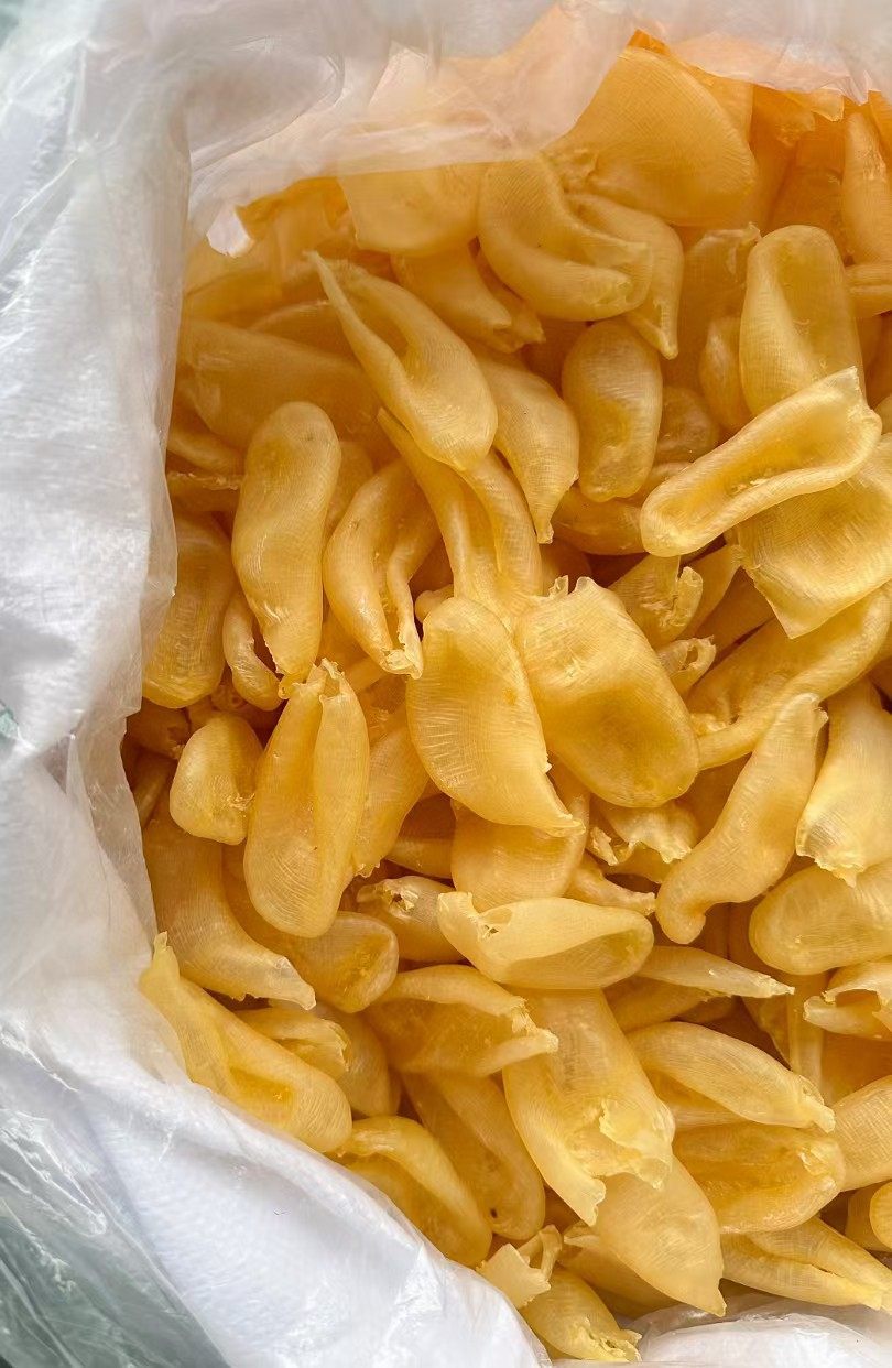 Pearl Fish Maw Zhen Zhu Jiao Dried Fish Bladder Thick Cut Collagen Rich Soup Ingredient 500g key features