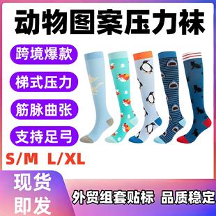 Cross-Border Amazon Spot Sports Compression Socks Fitness Running Calf Socks Elastic Socks Nylon Compression Socks