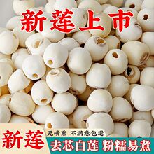 2024ɏ ɏӸ؛ ؼoɏrĥƤɏҰȥоɏl