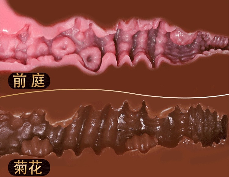 Manual Male Masturbator TPE Airplane Cup with Vaginal and Buttocks Mold, Brown — detail image 7