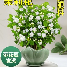 ���������Ԏ������������Ϙ����ˮ���d�ӻ��ܾGֲ���҃�����B