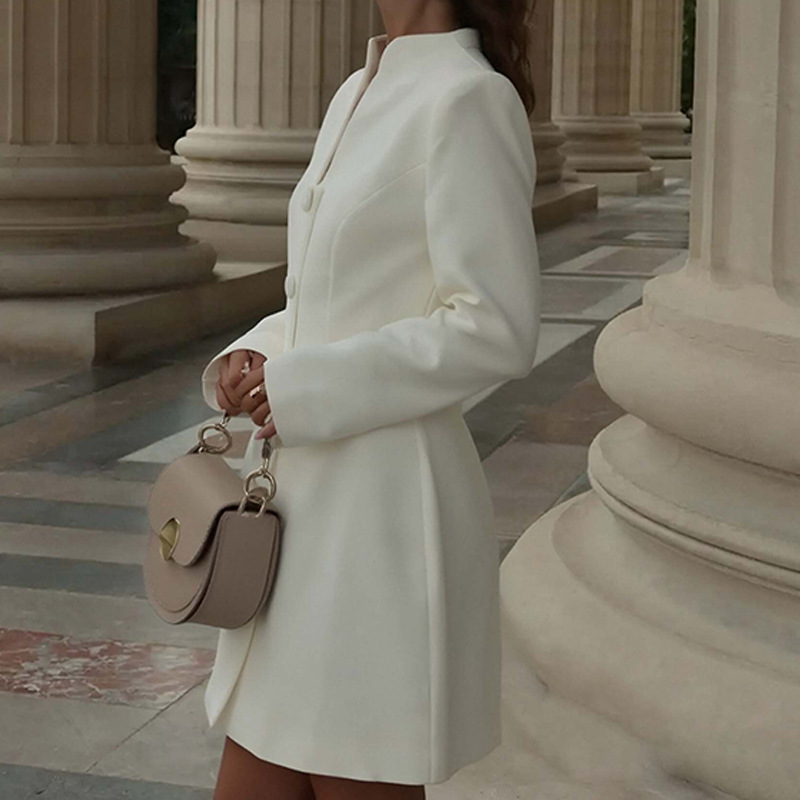 2026 Spring New Cross-Border European And American Fashion Commuting Solid Color Stand Collar Button Long Sleeve Slim_ecoleips.com