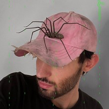 跨境爆品  plastic spider as decoration 塑料装饰蜘蛛恶搞摆饰