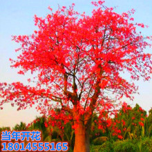 ���lľ�޻�����ľ�޻���Ӣ�ۘ�tľ������С����ͥԺ�e���G�����