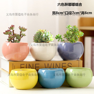 ���⻨���մɴ�̖�Gֲ��������С���⻨�����l��ڏ�����