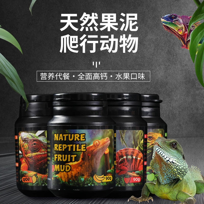 Ползающий питомец рептилия фрукты корм цилиарий угол охрана дворец грива Лев ящерица еда амфибия рептилия фруктовый вкус динамический