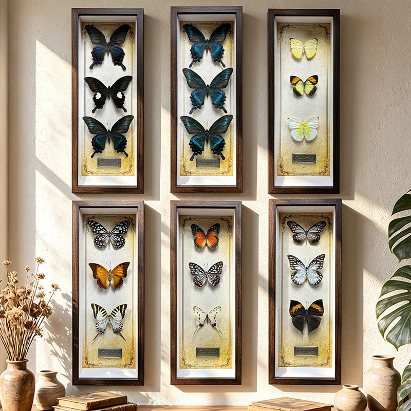 3 real butterfly specimens in a frame, decorative wall art, home decor, and a special gift