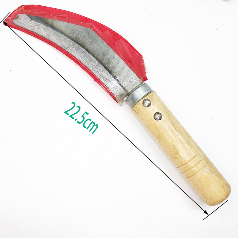 菠萝刀加工专用刀香蕉刀多功能小弯刀割菜刀削皮刀临沂两元店货源