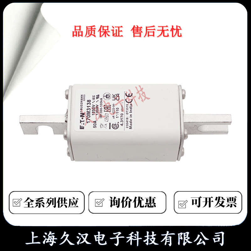 170M3138 170M3139 170M3140 170M3141 170M3142 BUSSMANN 熔断器