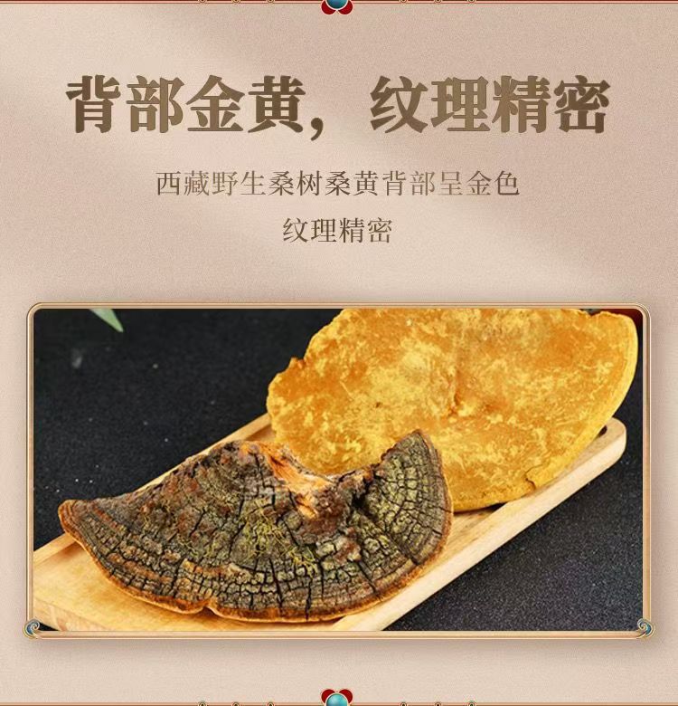 Sang Huang Mulberry Yellow Fungus Sliced 100g Bag Traditional Herbal Wellness for Middle Aged and Older Adults specifications