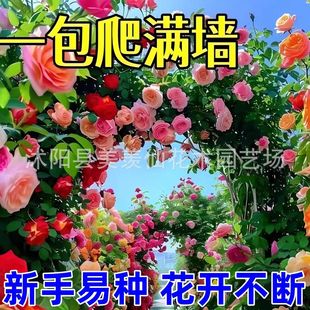 �����Nޱ���N�����ļ����N�_���¼�����ֲ�ﻨ������ͥԺ���ܷN��
