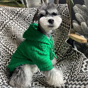 Cat Dog Clothes Autumn and Winter New Warm Schonery Fadou Bitter Bear Teddy Small and Medium Dog Sweatshirt Hooded
