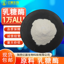 ����ø1�fALU���� ԭ��&beta;-��������ø�ֽ�����ø�Ƅ��F؛���]