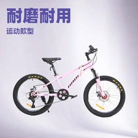 山地自行车;自行车;公路自行车