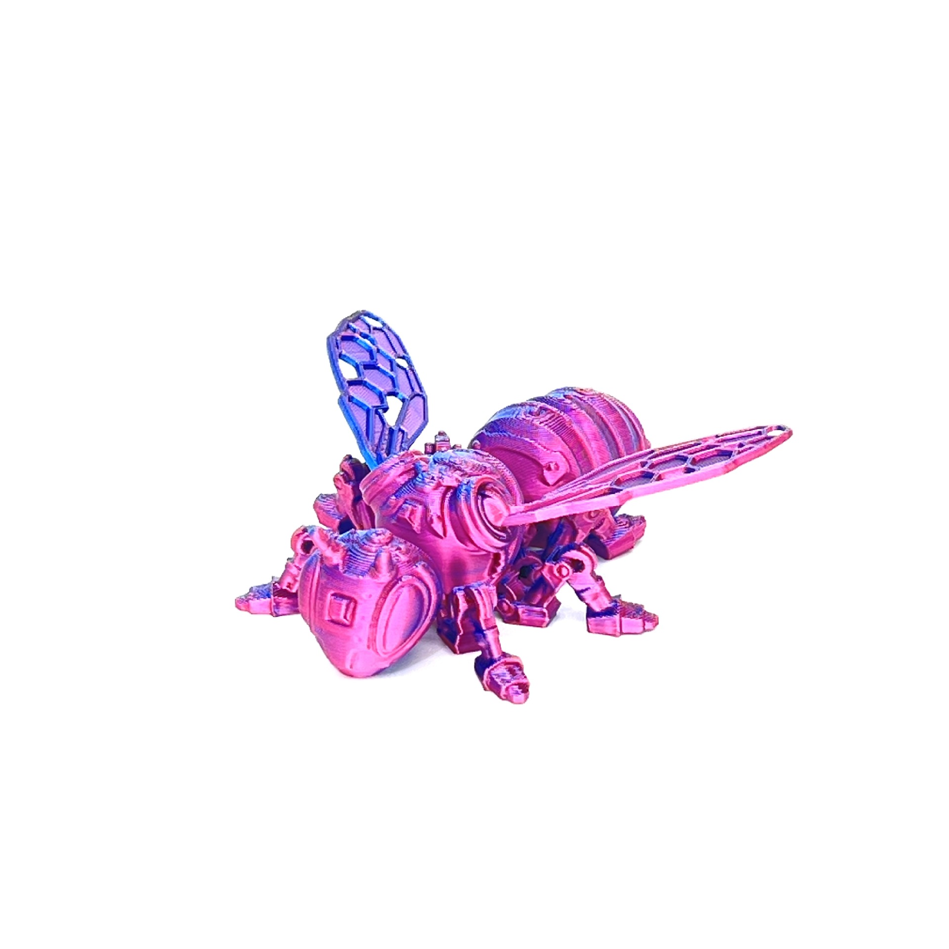 微信图片_202407010901361