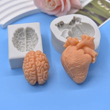 大脑心脏器官硅胶模具烘焙DIY万圣节蛋糕模具