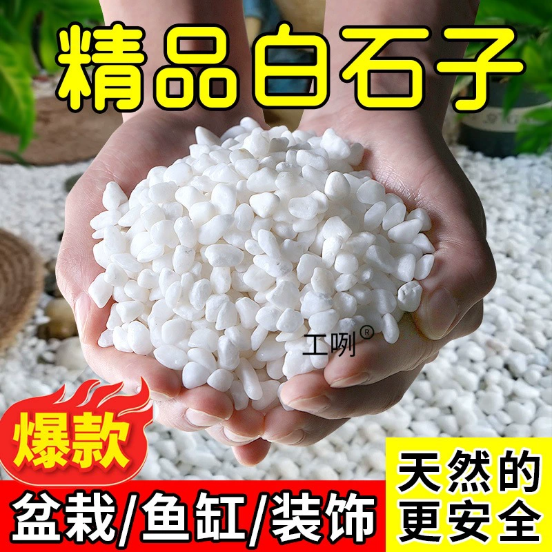 Натуральный белый камень, камень, суккулентный брусчатый покрытие, брусчатка, цветной камень, пятицветочный камень, ландшафтный декор для садового аквариума.