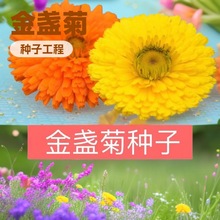 ܷNӽKշNӻݷNӴ׷NNӻԷN