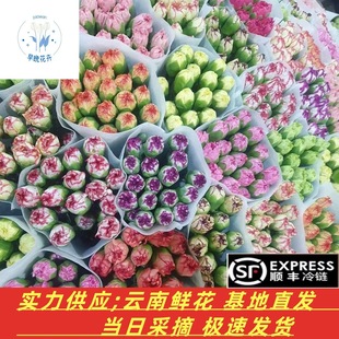 ����ܰ�r���滨����������l����ֱܰ�l�r�л��̎����[���Fُ�r��