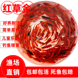 �t���~�\�a�~���B�ͻ��С���~��ˮ�~��[�ؔ����~����^�p����