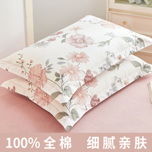 ��������һ���b����100ȫ�����^��48cmx74cm��о��đ��2026���¿�