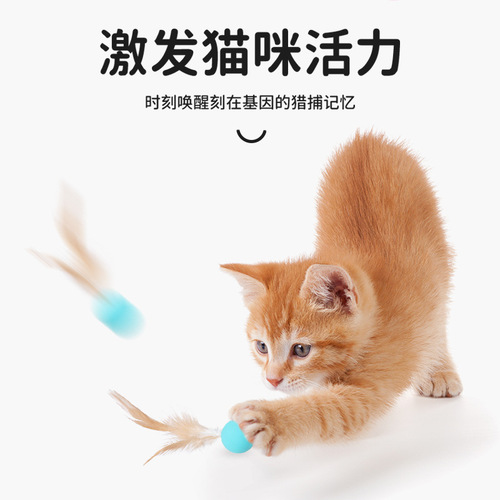 Boredom self-pleasure cat toy, interactive cat pet supplies wholesale, bite-resistant, silent, feather, silicone elastic ball