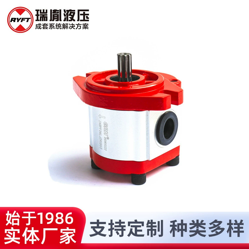 Производитель поставляет гидравлический шестеренчатый насос для гидравлической системы Rui Yi